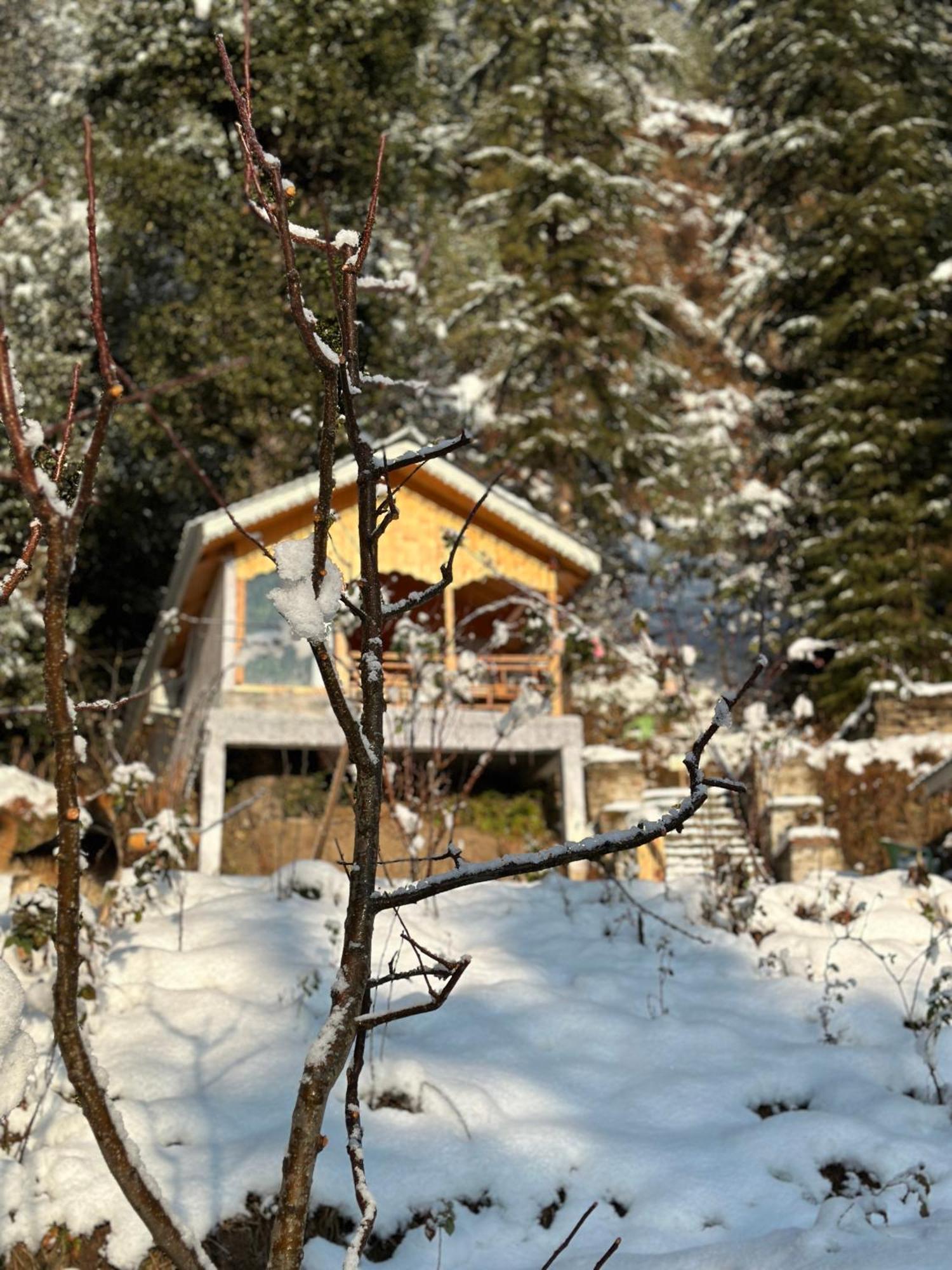 Tree House Latos Tandi Hotel Jibhi Buitenkant foto
