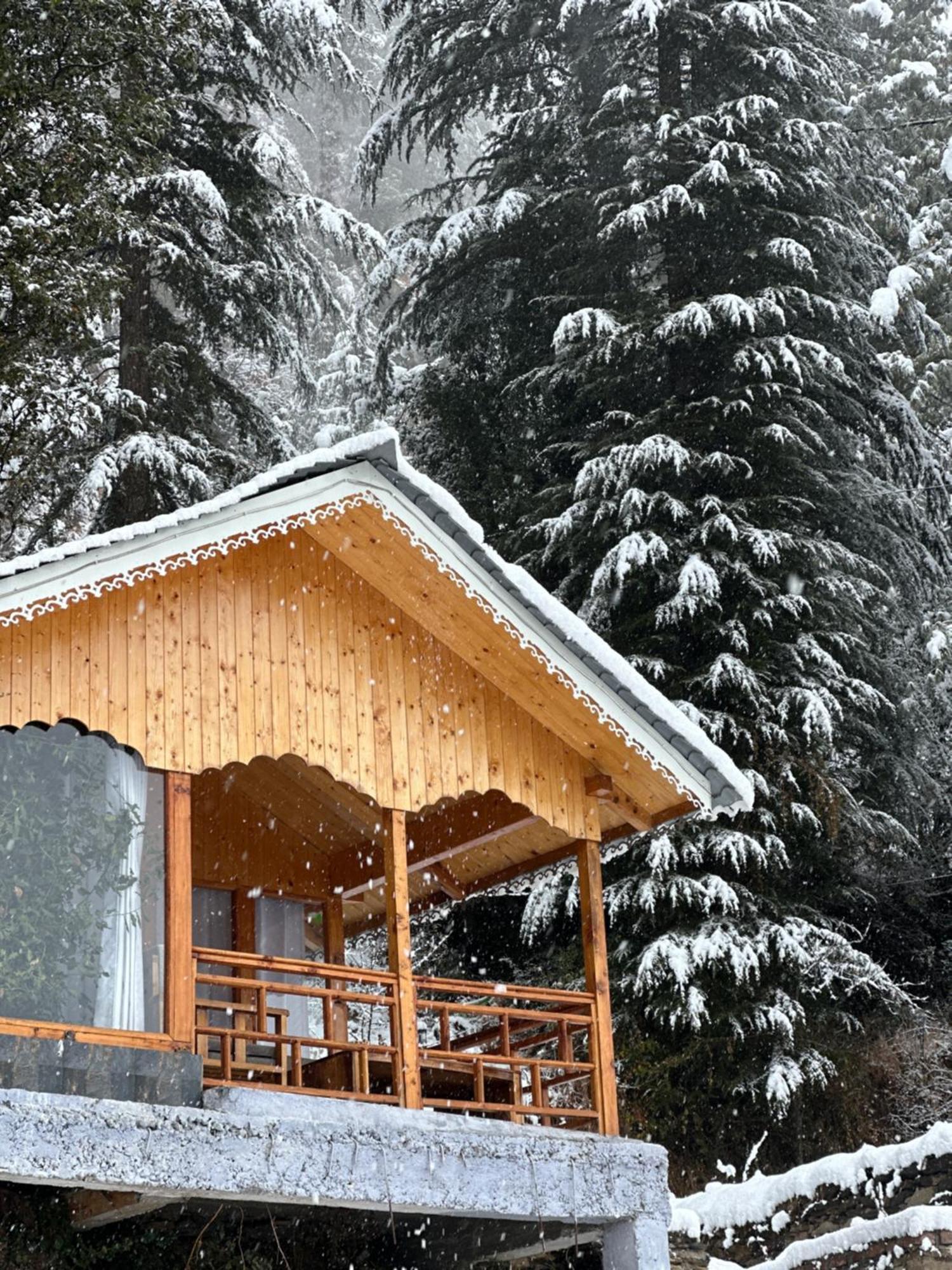 Tree House Latos Tandi Hotel Jibhi Buitenkant foto
